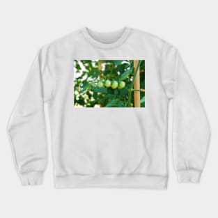 Green Tomatoes on the Vine Crewneck Sweatshirt